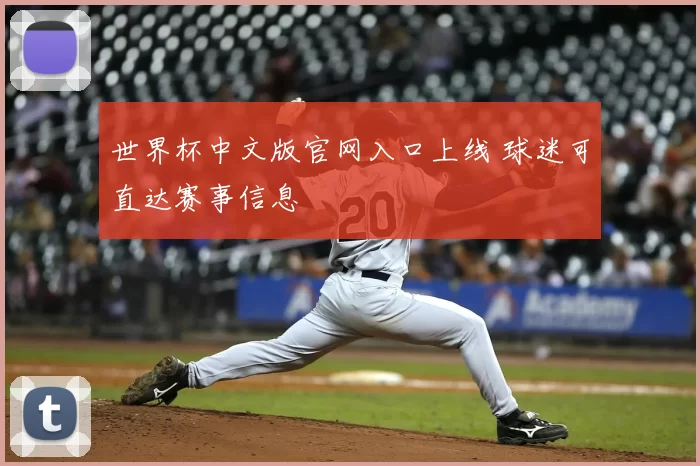 世界杯中文版官网入口上线 球迷可直达赛事信息