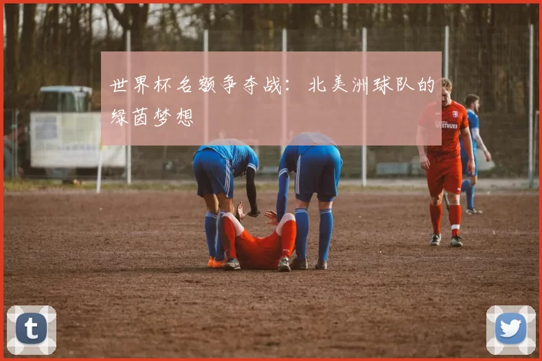 世界杯名额争夺战:北美洲球队的绿茵梦想
