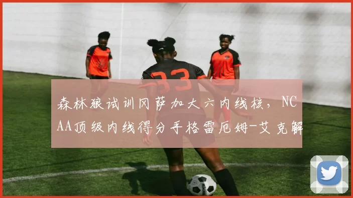 森林狼试训冈萨加大六内线核,NCAA顶级内线得分手格雷厄姆-艾克解析_进攻_大学_1