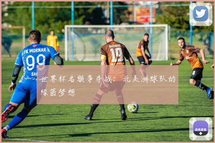 世界杯名额争夺战:北美洲球队的绿茵梦想