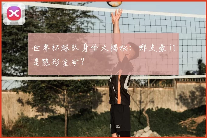 世界杯球队身价大揭秘：哪支豪门是隐形金矿？