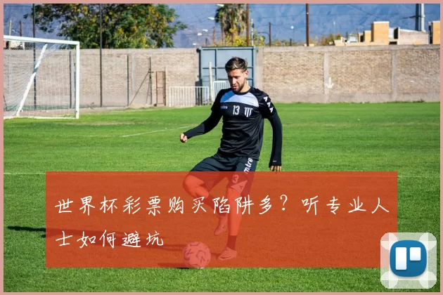 世界杯彩票购买陷阱多?听专业人士如何避坑