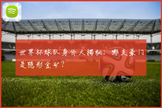 世界杯球队身价大揭秘：哪支豪门是隐形金矿？