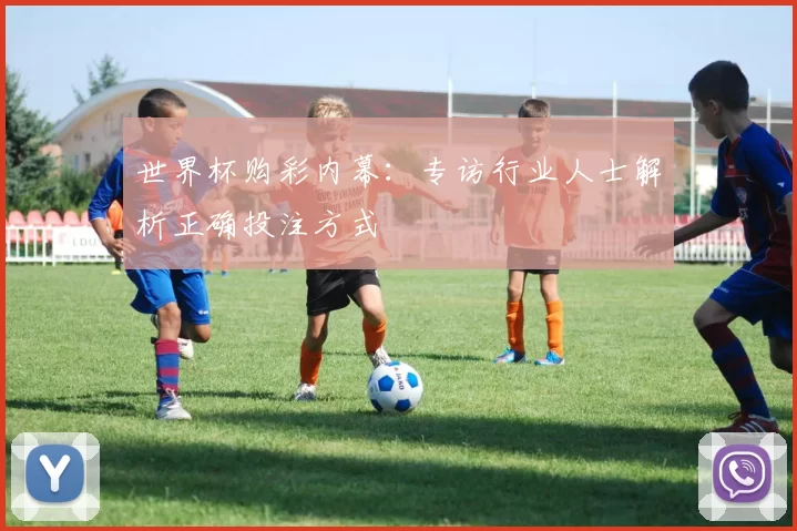 世界杯购彩内幕:专访行业人士解析正确投注方式